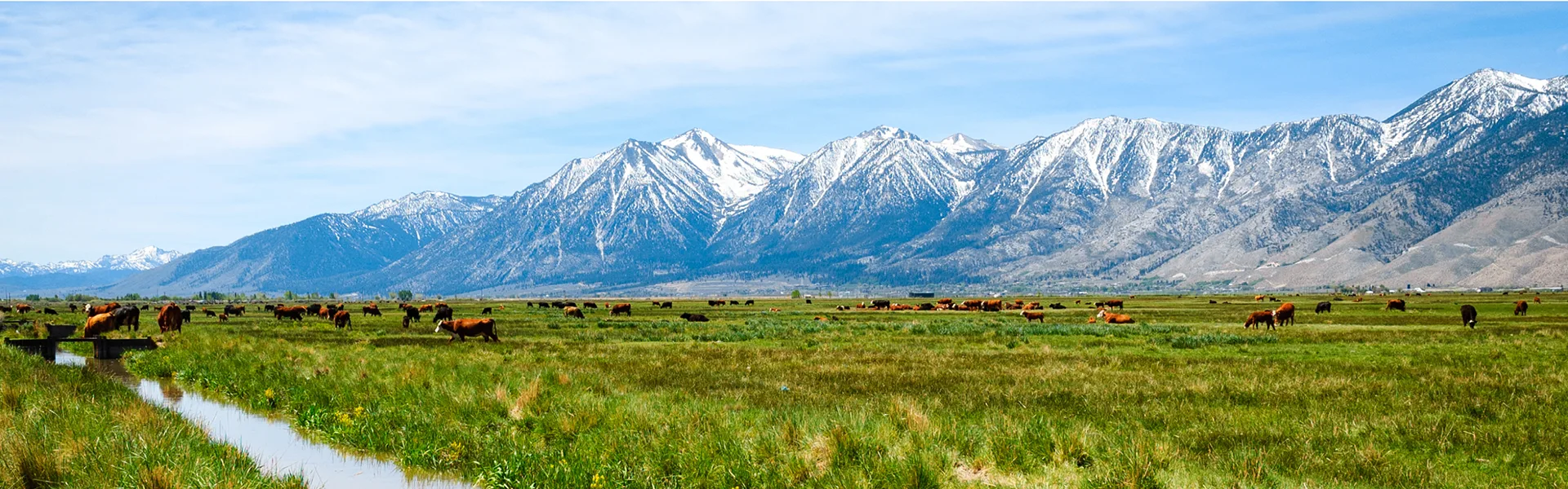 sierra nevada mountains